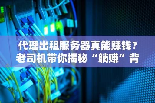 代理出租服务器真能赚钱？老司机带你揭秘“躺赚”背后的门道！