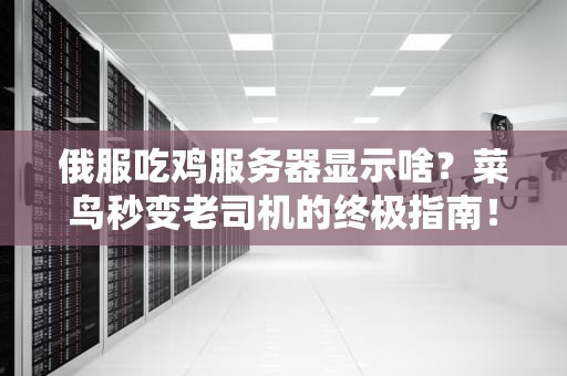 俄服吃鸡服务器显示啥？菜鸟秒变老司机的终极指南！