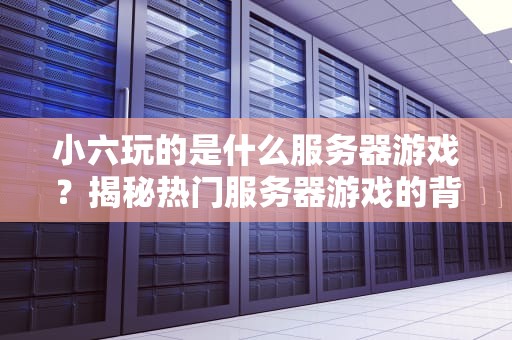 小六玩的是什么服务器游戏？揭秘热门服务器游戏的背后玄机！