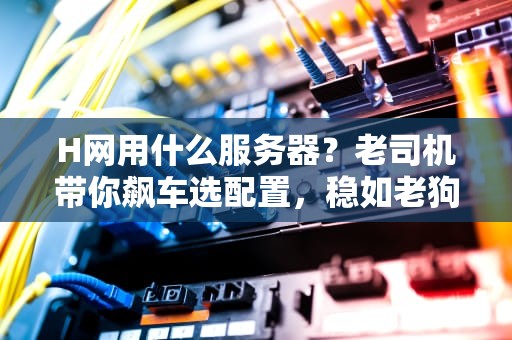 H网用什么服务器？老司机带你飙车选配置，稳如老狗不翻车！