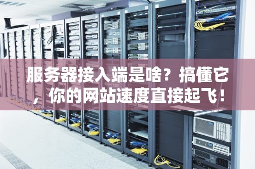 服务器接入端是啥？搞懂它，你的网站速度直接起飞！