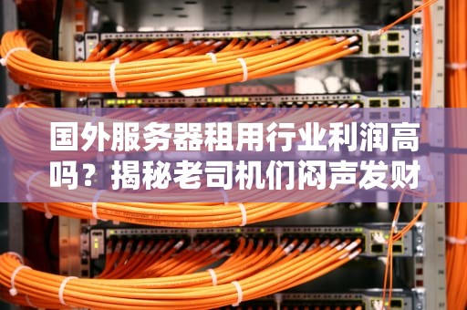 国外服务器租用行业利润高吗？揭秘老司机们闷声发财的骚操作！