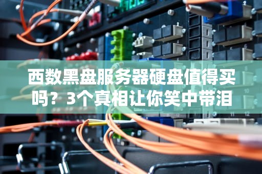 西数黑盘服务器硬盘值得买吗？3个真相让你笑中带泪！