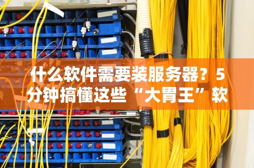 什么软件需要装服务器？5分钟搞懂这些“大胃王”软件！