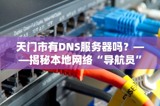 天门市有DNS服务器吗？——揭秘本地网络“导航员”的那些事儿