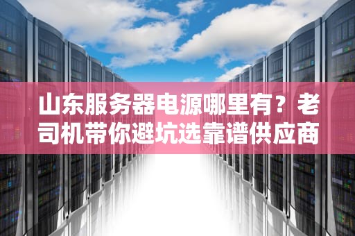 山东服务器电源哪里有？老司机带你避坑选靠谱供应商！