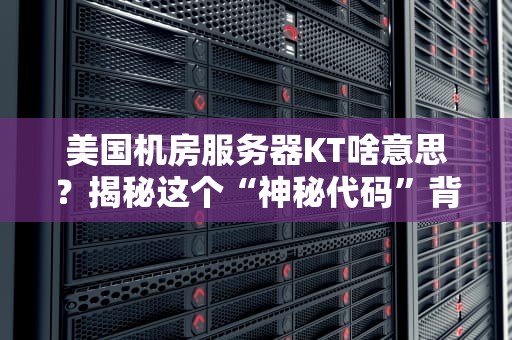 美国机房服务器KT啥意思？揭秘这个“神秘代码”背后的硬核实力！