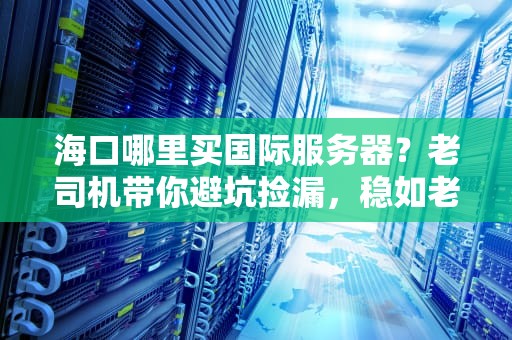 海口哪里买国际服务器？老司机带你避坑捡漏，稳如老狗！
