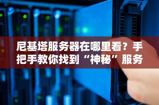 尼基塔服务器在哪里看？手把手教你找到“神秘”服务器的藏身之处！