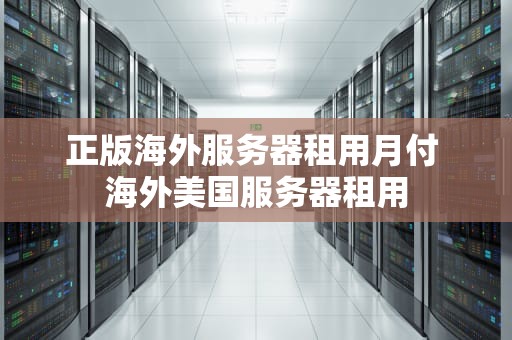 正版海外服务器租用月付 海外美国服务器租用