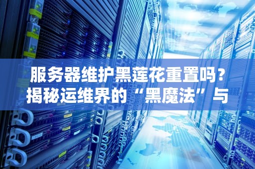 服务器维护黑莲花重置吗？揭秘运维界的“黑魔法”与避坑指南
