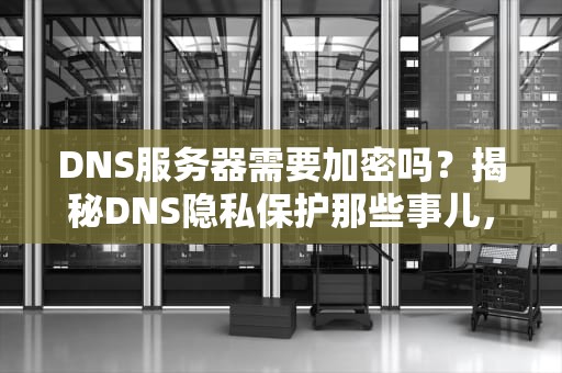 DNS服务器需要加密吗？揭秘DNS隐私保护那些事儿，看完秒变网络老司机！