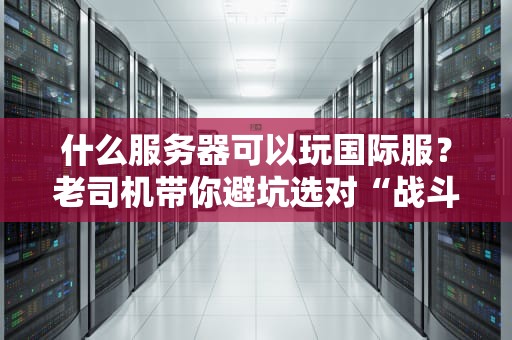 什么服务器可以玩国际服？老司机带你避坑选对“战斗鸡”！
