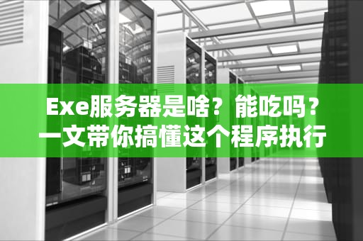 Exe服务器是啥？能吃吗？一文带你搞懂这个程序执行大佬！