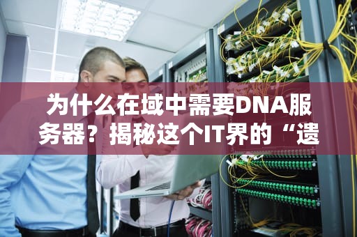 为什么在域中需要DNA服务器？揭秘这个IT界的“遗传密码”