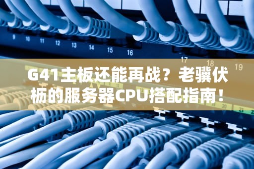 G41主板还能再战？老骥伏枥的服务器CPU搭配指南！