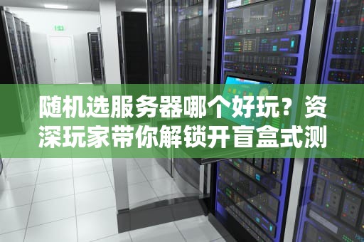 随机选服务器哪个好玩？资深玩家带你解锁开盲盒式测评乐趣！