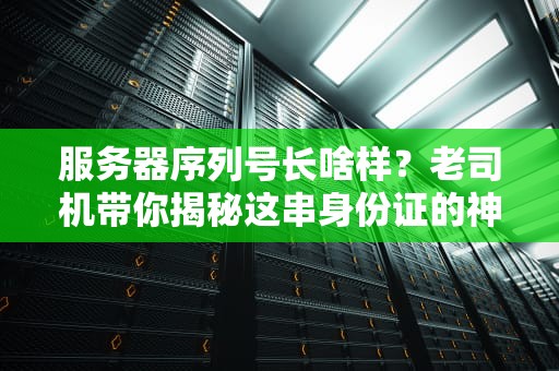 服务器序列号长啥样？老司机带你揭秘这串身份证的神奇之处！