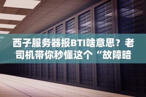 西子服务器报BTI啥意思？老司机带你秒懂这个“故障暗号”！