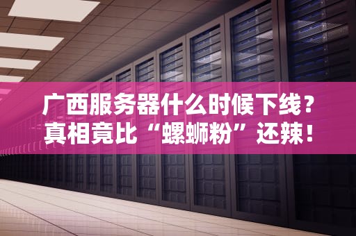 广西服务器什么时候下线？真相竟比“螺蛳粉”还辣！