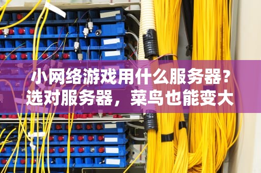 小网络游戏用什么服务器？选对服务器，菜鸟也能变大神！