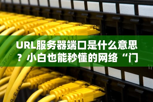 URL服务器端口是什么意思？小白也能秒懂的网络“门牌号”指南！