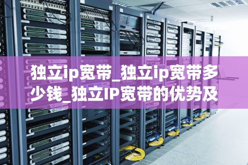 独立ip宽带_独立ip宽带多少钱_独立IP宽带的优势及其应用