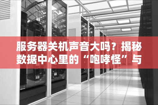 服务器关机声音大吗？揭秘数据中心里的“咆哮怪”与“安静美男子”