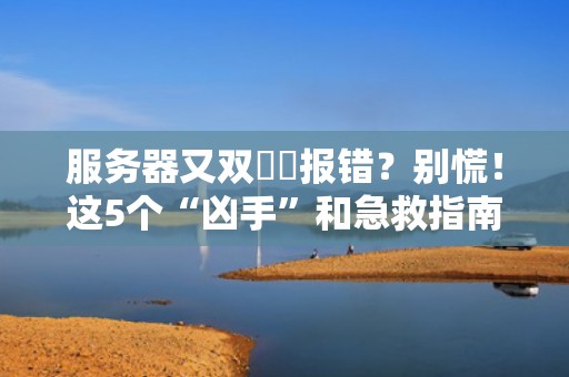 服务器又双叒叕报错？别慌！这5个“凶手”和急救指南请收好