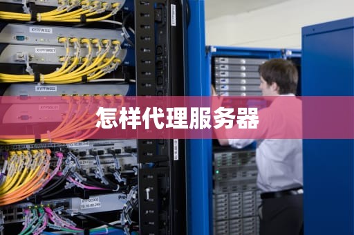 怎样代理服务器