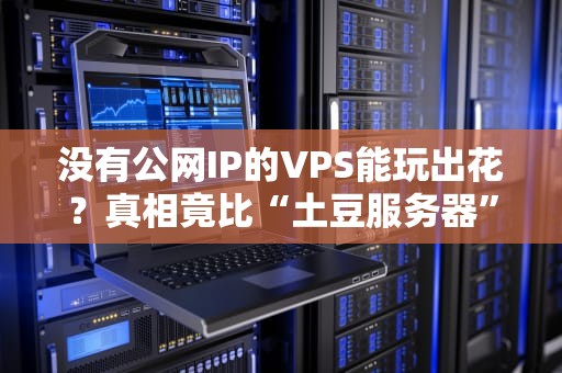 没有公网IP的VPS能玩出花？真相竟比“土豆服务器”还离谱！