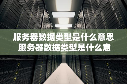 服务器数据类型是什么意思 服务器数据类型是什么意思啊