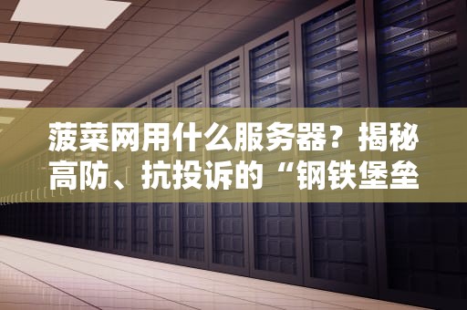 菠菜网用什么服务器？揭秘高防、抗投诉的“钢铁堡垒”配置！