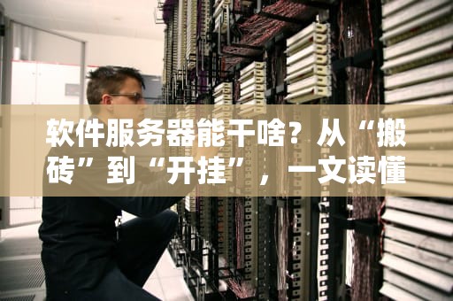 软件服务器能干啥？从“搬砖”到“开挂”，一文读懂它的十八般武艺！