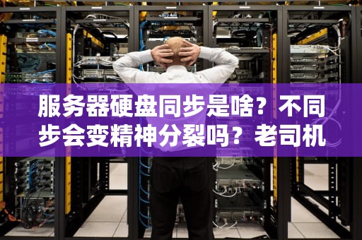 服务器硬盘同步是啥？不同步会变精神分裂吗？老司机用硬盘打架现场教学！