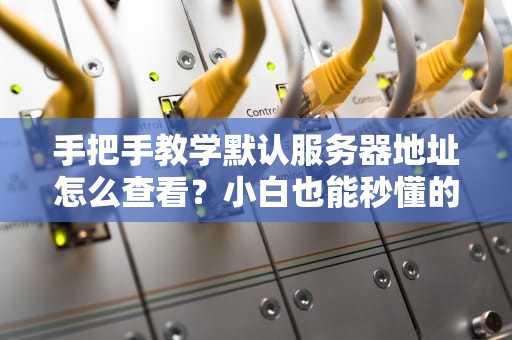 手把手教学默认服务器地址怎么查看？小白也能秒懂的终极指南！
