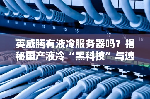 英威腾有液冷服务器吗？揭秘国产液冷“黑科技”与选购避坑指南