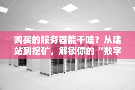 购买的服务器能干啥？从建站到挖矿，解锁你的“数字印钞机”！（附硬核避坑指南）