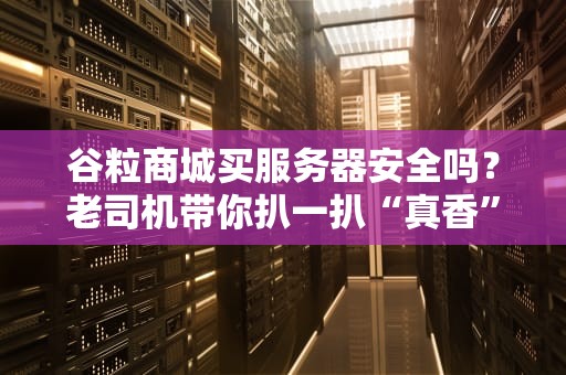 谷粒商城买服务器安全吗？老司机带你扒一扒“真香”还是“真坑”！