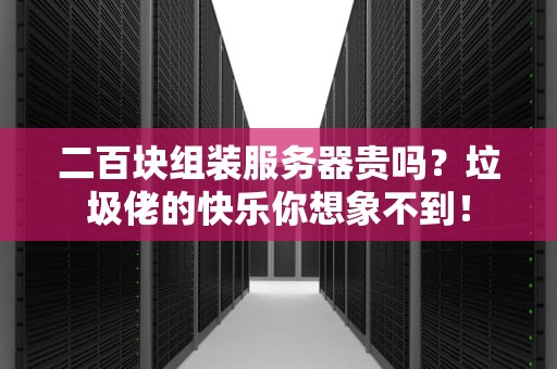 二百块组装服务器贵吗？垃圾佬的快乐你想象不到！