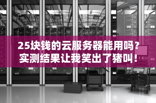 25块钱的云服务器能用吗？实测结果让我笑出了猪叫！
