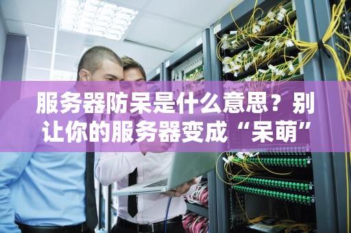 服务器防呆是什么意思？别让你的服务器变成“呆萌”小可爱！