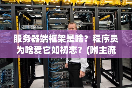 服务器端框架是啥？程序员为啥爱它如初恋？(附主流框架对比)