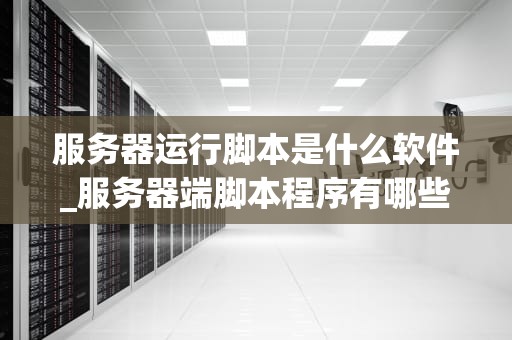 服务器运行脚本是什么软件_服务器端脚本程序有哪些_服务器运行脚本软件的全面解析