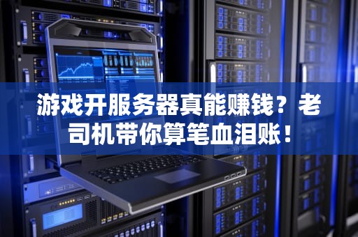 游戏开服务器真能赚钱？老司机带你算笔血泪账！