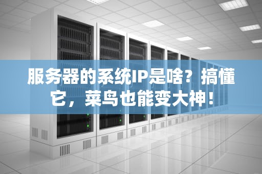 服务器的系统IP是啥？搞懂它，菜鸟也能变大神！