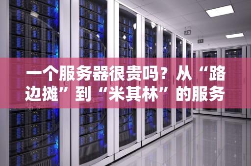 一个服务器很贵吗？从“路边摊”到“米其林”的服务器价格大揭秘！