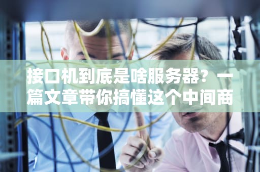 接口机到底是啥服务器？一篇文章带你搞懂这个中间商的奥秘！