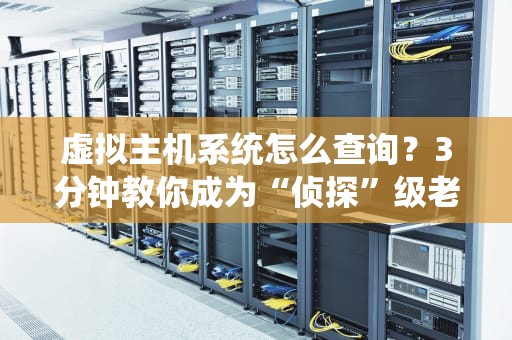 虚拟主机系统怎么查询？3分钟教你成为“侦探”级老司机！