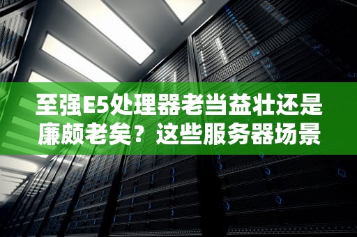 至强E5处理器老当益壮还是廉颇老矣？这些服务器场景它依然能打！
